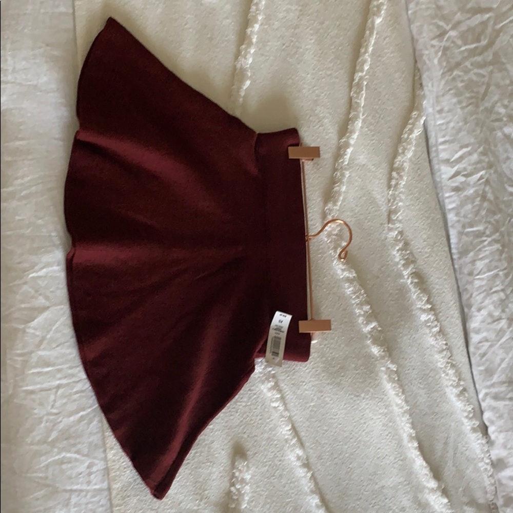 NWT Vanderbilt skirt (Aritzia)